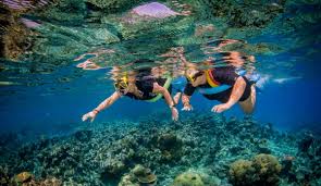 On board reef experience